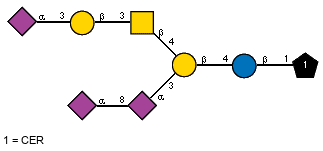 Ac(1-5)aXNeup(2-8)[Ac(1-5)]aXNeup(2-3)[Ac(1-5)aXNeup(2-3)bDGalp(1-3)[Ac(1-2)]bDGalpN(1-4)]bDGalp(1-4)bDGlcp(1-1)CER