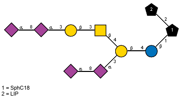 Ac(1-5)aXNeup(2-8)[Ac(1-5)]aXNeup(2-3)[Ac(1-5)aXNeup(2-8)[Ac(1-5)]aXNeup(2-3)bDGalp(1-3)[Ac(1-2)]bDGalpN(1-4)]bDGalp(1-4)bDGlcp(1-1)[LIP(1-2)]xXSphC18