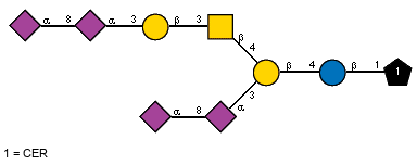 Ac(1-5)aXNeup(2-8)[Ac(1-5)]aXNeup(2-3)[Ac(1-5)aXNeup(2-8)[Ac(1-5)]aXNeup(2-3)bDGalp(1-3)[Ac(1-2)]bDGalpN(1-4)]bDGalp(1-4)bDGlcp(1-1)CER