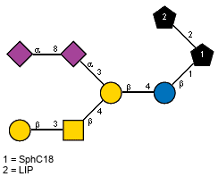 Ac(1-5)aXNeup(2-8)[Ac(1-5)]aXNeup(2-3)[bDGalp(1-3)[Ac(1-2)]bDGalpN(1-4)]bDGalp(1-4)bDGlcp(1-1)[LIP(1-2)]xXSphC18