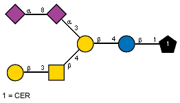 Ac(1-5)aXNeup(2-8)[Ac(1-5)]aXNeup(2-3)[bDGalp(1-3)[Ac(1-2)]bDGalpN(1-4)]bDGalp(1-4)bDGlcp(1-1)CER
