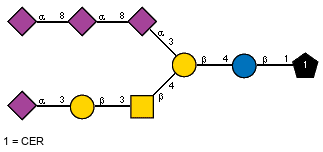 Ac(1-5)aXNeup(2-8)[Ac(1-5)]aXNeup(2-8)[Ac(1-5)]aXNeup(2-3)[Ac(1-5)aXNeup(2-3)bDGalp(1-3)[Ac(1-2)]bDGalpN(1-4)]bDGalp(1-4)bDGlcp(1-1)CER