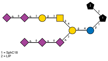 Ac(1-5)aXNeup(2-8)[Ac(1-5)]aXNeup(2-8)[Ac(1-5)]aXNeup(2-3)[Ac(1-5)aXNeup(2-8)[Ac(1-5)]aXNeup(2-3)b?Galp(1-3)[Ac(1-2)]b?GalpN(1-4)]b?Galp(1-4)b?Glcp(1-1)[LIP(1-2)]xXSphC18