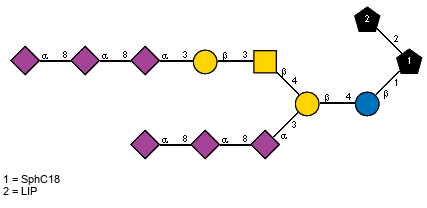 Ac(1-5)aXNeup(2-8)[Ac(1-5)]aXNeup(2-8)[Ac(1-5)]aXNeup(2-3)[Ac(1-5)aXNeup(2-8)[Ac(1-5)]aXNeup(2-8)[Ac(1-5)]aXNeup(2-3)bDGalp(1-3)[Ac(1-2)]bDGalpN(1-4)]bDGalp(1-4)bDGlcp(1-1)[LIP(1-2)]xXSphC18