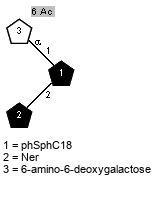 Ac(1-6)aDSugp(1-1)[lXNer(1-2)]xXphSphC18 // Sug = 6-amino-6-deoxygalactose = SMILES {6}C([C@@H]1[C@@H]([C@@H]([C@H]({1}C(O1)O)O)O)O)N