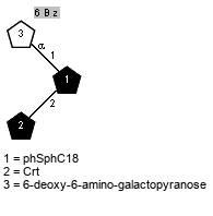 Bz(7-6)aDSugp(1-1)[lXCrt(1-2)]xXphSphC18 // Sug = 6-deoxy-6-amino-galactopyranose = SMILES {6}NC[C@H]1O{1}[C@H](O)[C@H](O)[C@@H](O)[C@H]1O