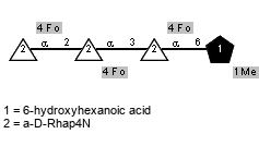 Fo(1-4)aDRhap4N(1-2)[Fo(1-4)]aDRhap4N(1-3)[Fo(1-4)]aDRhap4N(1-6)[Me(1-1)]Subst // Subst = 6-hydroxyhexanoic acid = SMILES O={1}C(O)CCCC{6}CO