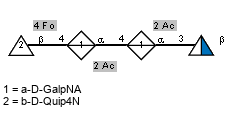 Fo(1-4)bDQuip4N(1-4)[Ac(1-2)]aDGalpNA(1-4)[Ac(1-2)]aDGalpNA(1-3)[Ac(1-2)]bDQuipN
