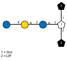 LIP(1-1)[?DGlcp(1-6)aDGalp(1-2)aDGlcp(1-3),LIP(1-2)]x?Gro