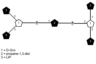 LIP(1-1)[LIP(1-2)[LIP(1-3)]xDGro(1-P-1)Subst(3-P-3),LIP(1-2)]xDGro // Subst = propane-1,3-diol = SMILES O{1}CC{3}CO