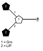 LIP(1-1)[LIP(1-2)]x?Gro(3-P