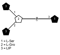 LIP(1-1)[LIP(1-2)]xLGro(3-P-3)xLSer