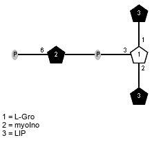 LIP(1-1)[P-6)xXmyoIno(3-P-3),LIP(1-2)]xLGro