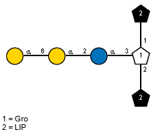 LIP(1-1)[aDGalp(1-6)aDGalp(1-2)aDGlcp(1-3),LIP(1-2)]x?Gro