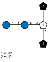 LIP(1-1)[bDGlcp(1-6)bDGlcp(1-3),LIP(1-2)]x?Gro
