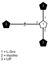 LIP(1-1)[xXmyoIno(3-P-3),LIP(1-2)]xLGro // LIP(1-1) = 20:4(5Z,8Z,11Z,14Z; LIP(1-2) = 18:1