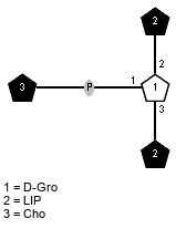 LIP(1-2)[LIP(1-3),xXCho(1-P-1)]xDGro // LIP = 18:1, 20:1