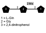 Me(1-2)[Subst(1-2)]xXGly(1-2)xLGln // Subst = 2,4-dinitrophenol = SMILES C1=C{1}C(=C(C=C1[N+](=O)[O-])[N+](=O)[O-])O
