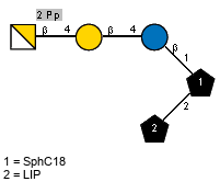 Pp(1-2)bDGalpN(1-4)bDGalp(1-4)bDGlcp(1-1)[LIP(1-2)]xXSphC18
