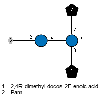S-2)aDGlcp(1-1)[Subst(1-3),lXPam(1-2)]aDGlcp // Subst = 2,4R-dimethyl-docos-2E-enoic acid = SMILES CCCCCCCCCCCCCCCCC{4}C[C@@H](C)/C={2}C(C)/{1}C(=O)O