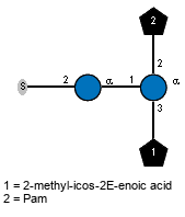 S-2)aDGlcp(1-1)[Subst(1-3),lXPam(1-2)]aDGlcp // Subst = 2-methyl-icos-2E-enoic acid = SMILES CCCCCCCCCCCCCCCCC/C={2}C(C)/{1}C(=O)O