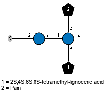 S-2)aDGlcp(1-1)[Subst(1-3),lXPam(1-2)]aDGlcp // Subst = 2S,4S,6S,8S-tetramethyl-lignoceric acid = SMILES O={1}C(O){2}[C@@H](C)C{4}[C@@H](C)C{6}[C@@H](C)C{8}[C@@H](C)CCCCCCCCCCCCCCCC