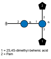 S-2)aDGlcp(1-1)[Subst(1-3),lXPam(1-2)]aDGlcp // Subst = 2S,4S-dimethyl-behenic acid = SMILES O={1}C(O){2}[C@@H](C)C{4}[C@@H](C)CCCCCCCCCCCCCCCCCC