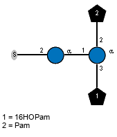 S-2)aDGlcp(1-1)[lX16HOPam(1-3),lXPam(1-2)]aDGlcp
