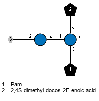 S-2)aDGlcp(1-1)[lXPam(1-3),Subst(1-2)]aDGlcp // Subst = 2,4S-dimethyl-docos-2E-enoic acid = SMILES CCCCCCCCCCCCCCCCC{4}C[C@H](C)/C={2}C(C)/{1}C(=O)O