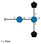 S-2)aDGlcp(1-1)[lXPam(1-3),lXPam(1-2)]aDGlcp