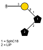 S-3)bDGalp(1-1)[LIP(1-2)]xXSphC18