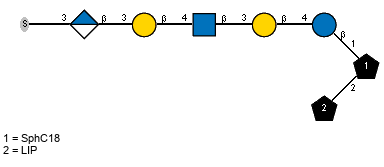 S-3)bDGlcpA(1-3)bDGalp(1-4)[Ac(1-2)]bDGlcpN(1-3)bDGalp(1-4)bDGlcp(1-1)[LIP(1-2)]xXSphC18