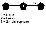 Subst(1-2)xLAsn(1-2)xLGln // Subst = 2,4-dinitrophenol = SMILES C1=C{1}C(=C(C=C1[N+](=O)[O-])[N+](=O)[O-])O
