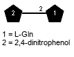 Subst(1-2)xLGln // Subst = 2,4-dinitrophenol = SMILES C1=C{1}C(=C(C=C1[N+](=O)[O-])[N+](=O)[O-])O
