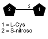Subst(1-3)xLCys // Subst = S-nitroso = SMILES {1}SN=O
