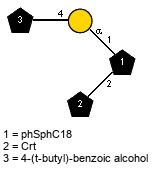 Subst(1-4)aDGalp(1-1)[lXCrt(1-2)]xXphSphC18 // Subst = 4-(t-butyl)-benzoic alcohol = SMILES O{1}CC1=CC=C(C(C)(C)C)C=C1