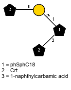 Subst(1-6)aDGalp(1-1)[lXCrt(1-2)]xXphSphC18 // Subst = 1-naphthylcarbamic acid = SMILES O={1}C(CO)Nc1cccc2ccccc12