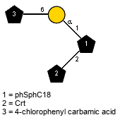 Subst(1-6)aDGalp(1-1)[lXCrt(1-2)]xXphSphC18 // Subst = 4-chlorophenyl carbamic acid = SMILES O=C({1}CO)Nc1ccc(Cl)cc1