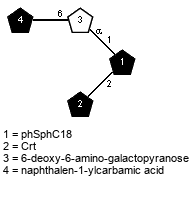 Subst(1-6)aDSugp(1-1)[lXCrt(1-2)]xXphSphC18 // Subst = naphthalen-1-ylcarbamic acid = SMILES O={1}C(O)Nc1cccc2ccccc12; Sug = 6-deoxy-6-amino-galactopyranose = SMILES {6}NC[C@H]1O{1}[C@H](O)[C@H](O)[C@@H](O)[C@H]1O