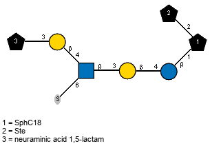 Subst(2-3)bDGalp(1-4)[S-6),Ac(1-2)]bDGlcpN(1-3)bDGalp(1-4)bDGlcp(1-1)[lXSte(1-2)]xXSphC18 // Subst = neuraminic acid 1,5-lactam = SMILES O{2}[C@@]12O[C@]([C@H](O)[C@H](O)CO)([H])[C@H](NC2=O)[C@@H](O)C1