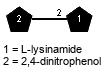 Subst1(1-2)Subst2 // Subst1 = 2,4-dinitrophenol = SMILES C1=C{1}C(=C(C=C1[N+](=O)[O-])[N+](=O)[O-])O; Subst2 = L-lysinamide = SMILES C(CC{2}N)C[C@@H](C(=O)N)N