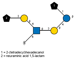 Subst2(2-3)bDGalp(1-4)[S-6),Ac(1-2)]bDGlcpN(1-3)bDGalp(1-4)[Subst(1-1)]bDGlcp // Subst = 2-(tetradecyl)hexadecanol = SMILES CCCCCCCCCCCCCCC({1}CO)CCCCCCCCCCCCCC; Subst2 = neuraminic acid 1,5-lactam = SMILES O{2}[C@@]12O[C@]([C@H](O)[C@H](O)CO)([H])[C@H](NC2=O)[C@@H](O)C1