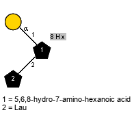aDGalp(1-1)[Ph(1C-6)Hx(1-8),lXLau(1-2)]Subst // Subst = 5,6,8-hydro-7-amino-hexanoic acid = SMILES {8}NC(=O)CCC[C@@H](O)[C@@H](O)[C@@H]({2}N){1}CO