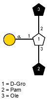 aDGalp(1-1)[lXPam(1-3),lXOle(1-2)]xDGro