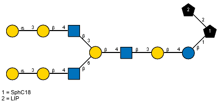 aDGalp(1-3)bDGalp(1-4)[Ac(1-2)]bDGlcpN(1-3)[aDGalp(1-3)bDGalp(1-4)[Ac(1-2)]bDGlcpN(1-6)]bDGalp(1-4)[Ac(1-2)]bDGlcpN(1-3)bDGalp(1-4)bDGlcp(1-1)[LIP(1-2)]xXSphC18