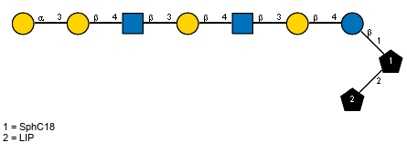 aDGalp(1-3)bDGalp(1-4)[Ac(1-2)]bDGlcpN(1-3)bDGalp(1-4)[Ac(1-2)]bDGlcpN(1-3)bDGalp(1-4)bDGlcp(1-1)[LIP(1-2)]xXSphC18
