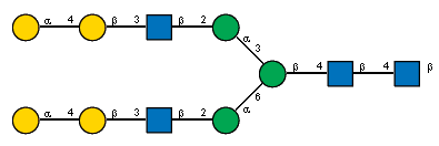 aDGalp(1-4)bDGalp(1-3)[Ac(1-2)]bDGlcpN(1-2)aDManp(1-3)[aDGalp(1-4)bDGalp(1-3)[Ac(1-2)]bDGlcpN(1-2)aDManp(1-6)]bDManp(1-4)[Ac(1-2)]bDGlcpN(1-4)[Ac(1-2)]bDGlcpN