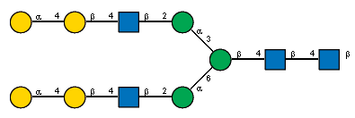 aDGalp(1-4)bDGalp(1-4)[Ac(1-2)]bDGlcpN(1-2)aDManp(1-3)[aDGalp(1-4)bDGalp(1-4)[Ac(1-2)]bDGlcpN(1-2)aDManp(1-6)]bDManp(1-4)[Ac(1-2)]bDGlcpN(1-4)[Ac(1-2)]bDGlcpN