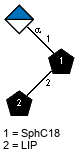 aDGlcpA(1-1)[LIP(1-2)]xXSphC18