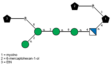 aDManp(1-2)[xXEtN(1-P-6)]aDManp(1-2)aDManp(1-6)aDManp(1-4)aDGlcpN(1-4)[Subst(1-P-3)]xXmyoIno // Subst = 6-mercaptohexan-1-ol = SMILES O{1}CCCCCCS